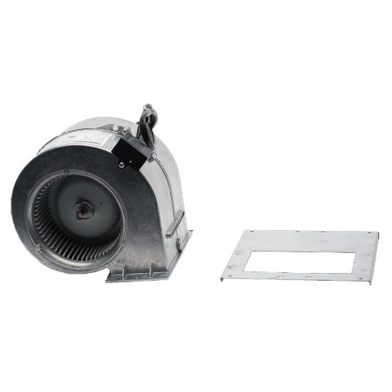 Picture of WOLF 829154