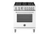 Picture of BERTAZZONI MAS305GASBIV