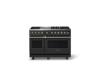 Picture of VIKING VDR54846GANBB