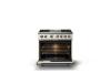 Picture of VIKING VDR53644GPWBB