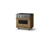 Picture of VIKING VGIC53626BGHBB