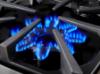 Picture of BLUESTAR BSPGR606G