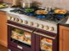 Picture of BLUESTAR BSPGR488B