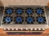 Picture of BLUESTAR BSPGR488B